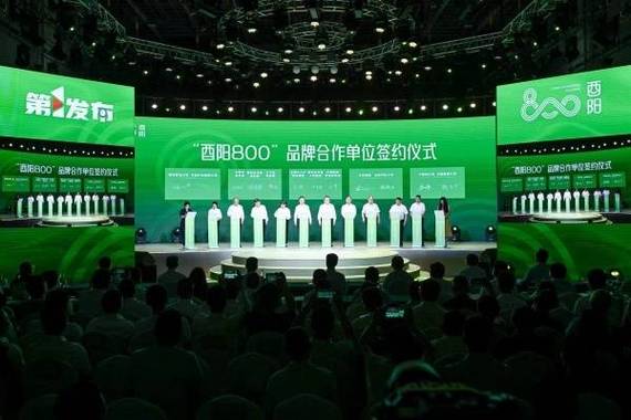 品牌管理赋能“酉阳800”发布会 6.03亿元购销签约背后的战略启示